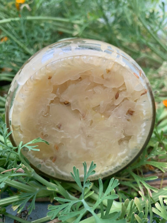 Caraway Sauerkraut